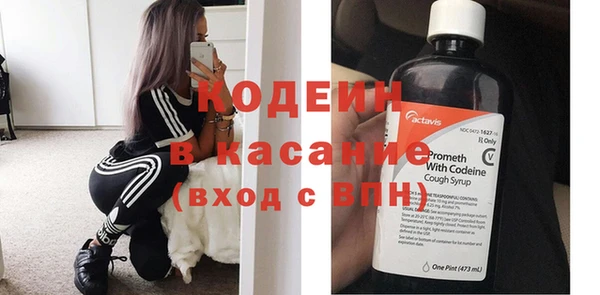 прущие грибы Надым