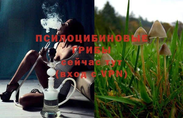 таблы Михайлов