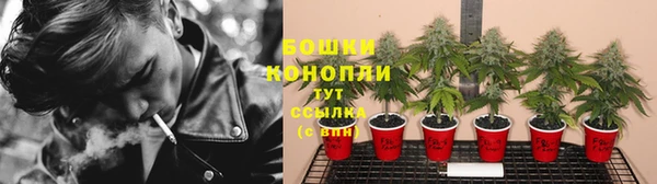 амф Михайловск