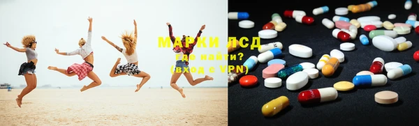 прущие грибы Надым