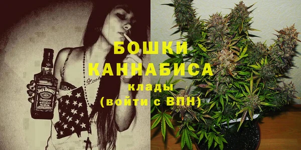 амф Михайловск