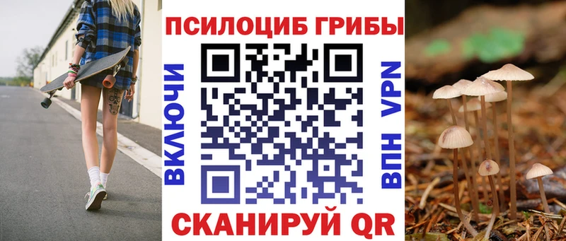 Псилоцибиновые грибы Psilocybine cubensis  mega сайт  Краснознаменск 