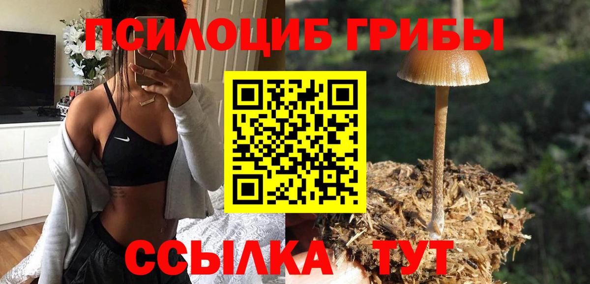 Галлюциногенные грибы MAGIC MUSHROOMS  Краснознаменск 